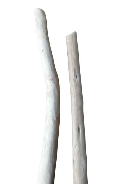 https://www.les-bois-flotte.com/2794/driftwood-branch.jpg