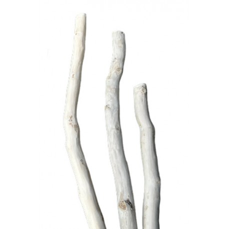 Small branches in driftwood