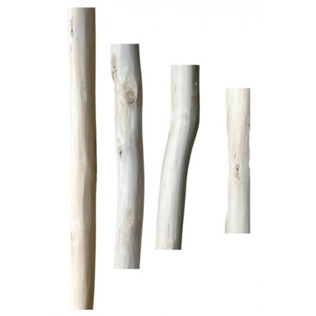 Small branches in driftwood: 2 cut ends