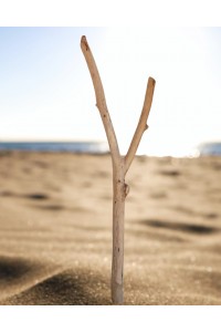 Bois flotté pour potence