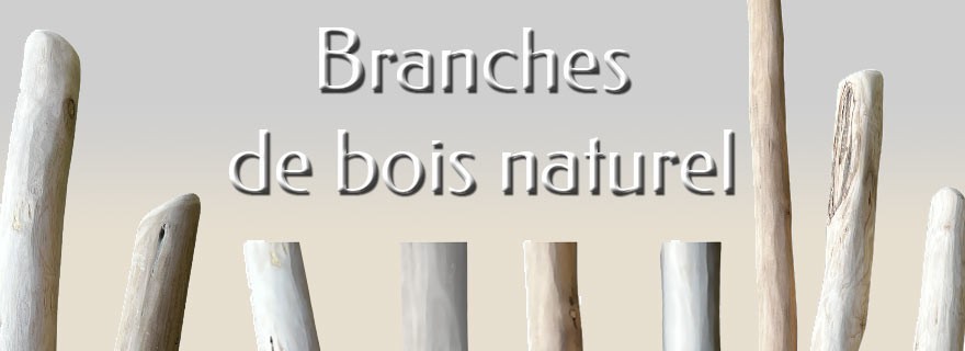 Branches bois écorcées