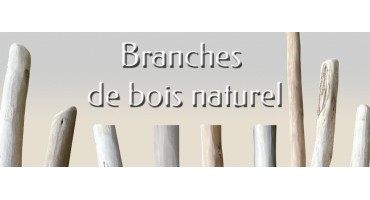 Branches de bois écorcées